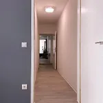 Apartment Traumhaftes In *